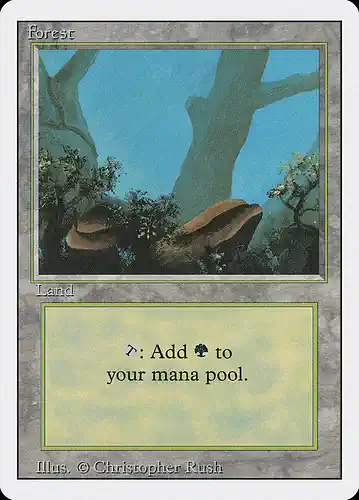 Forest - 3ed Spoiler