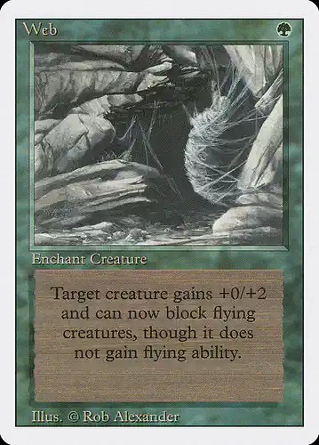 Web - 3ed Spoiler