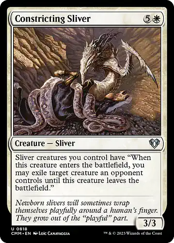 Constricting Sliver - cmm Spoiler