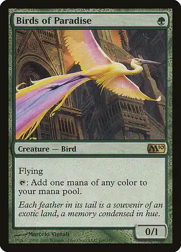 Birds of Paradise - m10 Spoiler