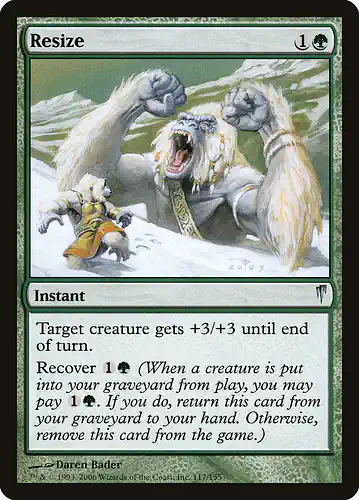 Resize - csp Spoiler