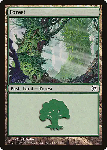 Forest - som Spoiler