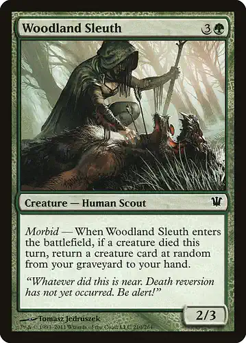 Woodland Sleuth - isd Spoiler