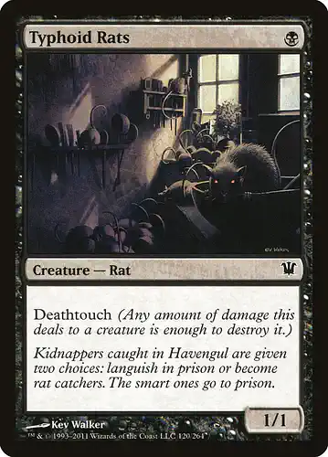 Typhoid Rats - isd Spoiler