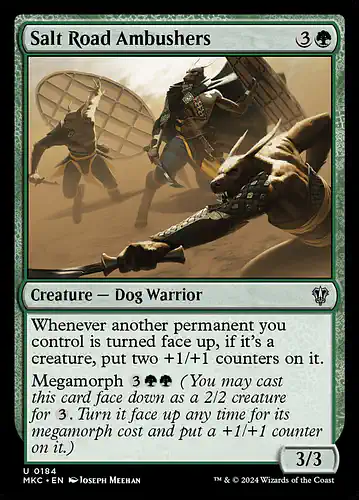 Salt Road Ambushers - mkc Spoiler