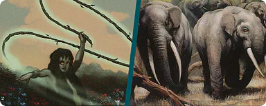 Zoo