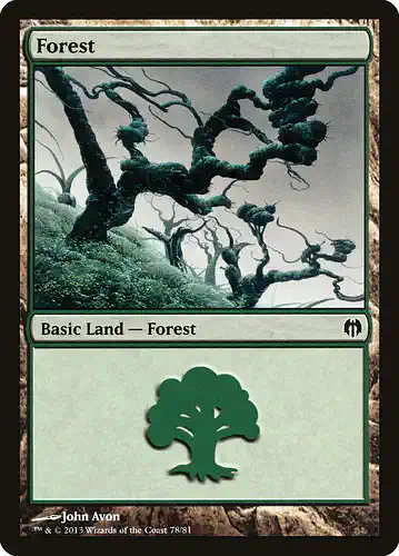 Forest - ddl Spoiler