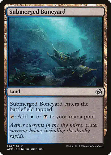 Submerged Boneyard - aer Spoiler