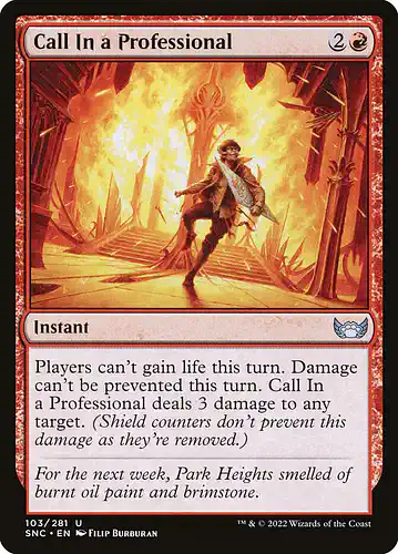 Call In a Professional - snc Spoiler