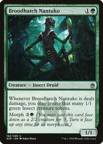 Broodhatch Nantuko - a25 Spoiler