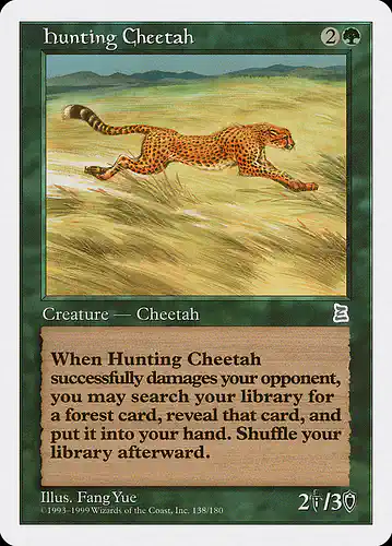 Hunting Cheetah - ptk Spoiler