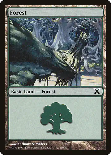 Forest - 10e Spoiler