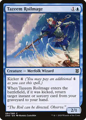 Tazeem Roilmage - znr Spoiler