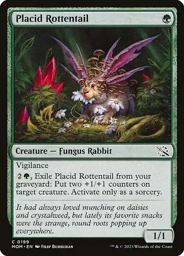 Placid Rottentail - mom Spoiler