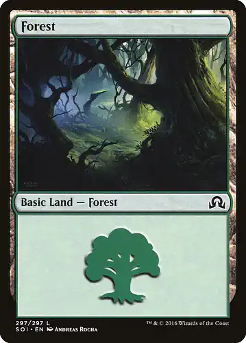 Forest - soi Spoiler