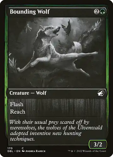 Bounding Wolf - dbl Spoiler