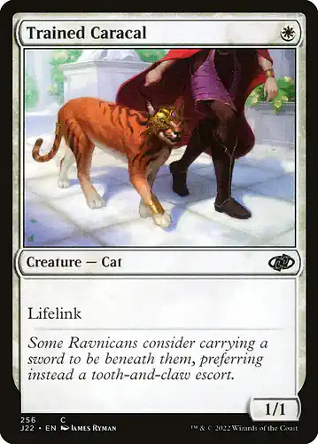 Trained Caracal - j22 Spoiler