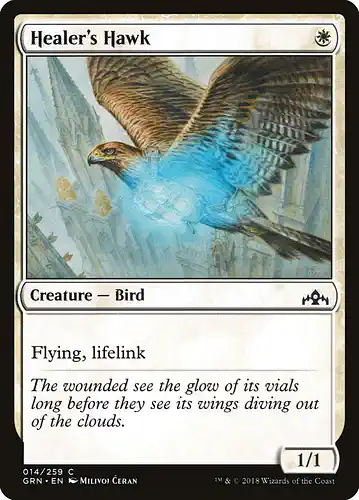 Healer's Hawk - grn Spoiler