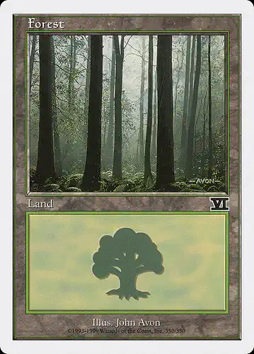 Forest - 6ed Spoiler