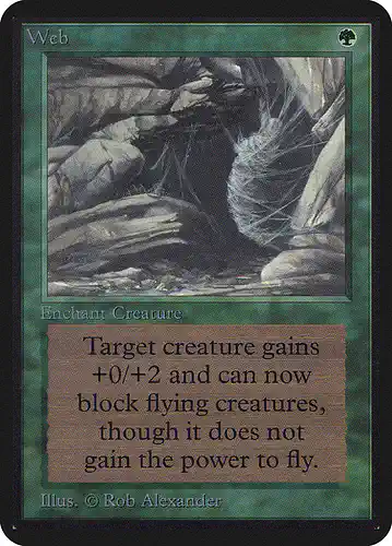 Web - lea Spoiler