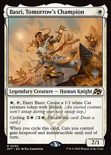 Basri, Tomorrow's Champion - dft Spoiler