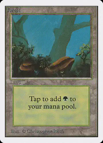 Forest - 2ed Spoiler