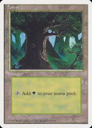 Forest - rqs Spoiler