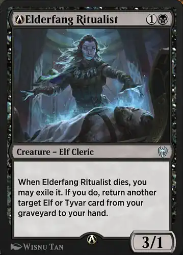 A-Elderfang Ritualist - khm Spoiler