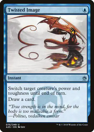 Twisted Image - a25 Spoiler