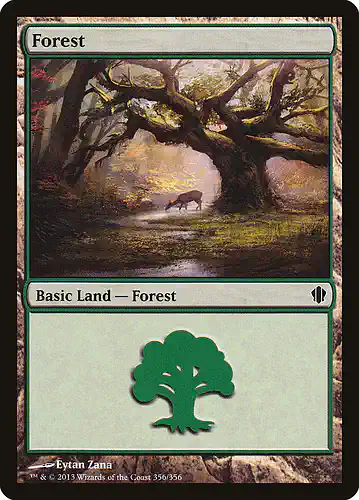 Forest - c13 Spoiler