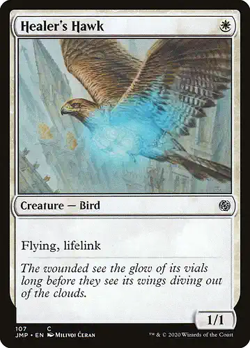 Healer's Hawk - jmp Spoiler