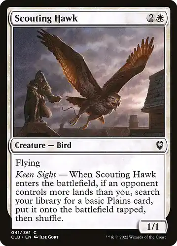 Scouting Hawk - clb Spoiler