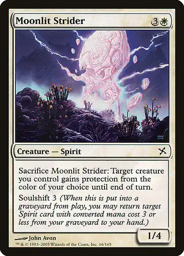 Moonlit Strider - bok Spoiler