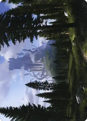 Forest - afr Spoiler