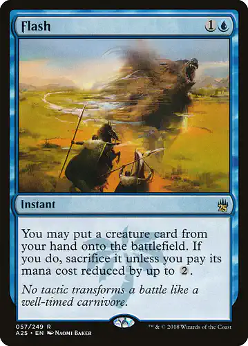 Flash - a25 Spoiler