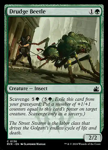 Drudge Beetle - rvr Spoiler