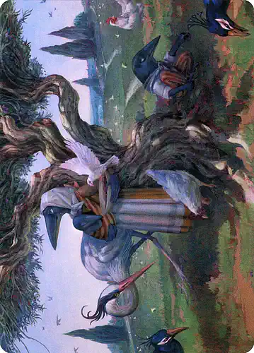 Kindred Discovery - clb Spoiler