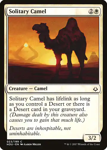 Solitary Camel - hou Spoiler