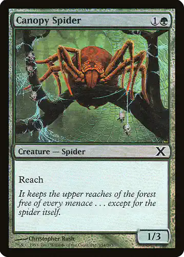 Canopy Spider - 10e Spoiler