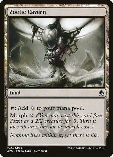 Zoetic Cavern - a25 Spoiler