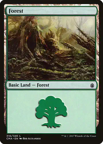 Forest - cma Spoiler