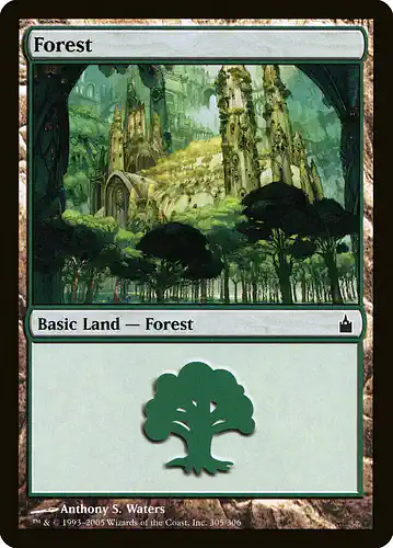Forest - rav Spoiler