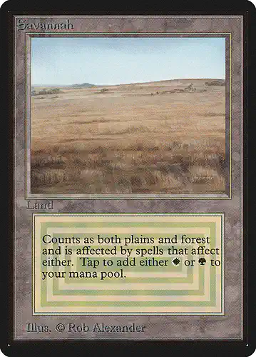 Savannah - leb Spoiler