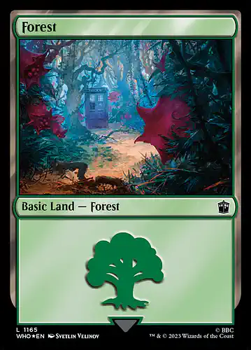 Forest - who Spoiler