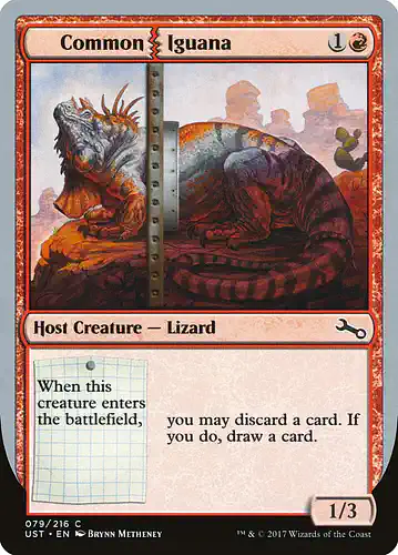 Common Iguana - ust Spoiler