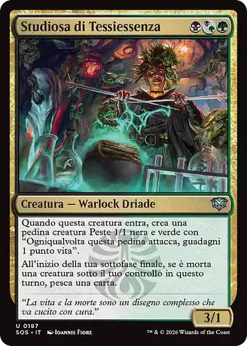Essenceknit Scholar - sos Spoiler