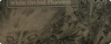 Bant Ritual