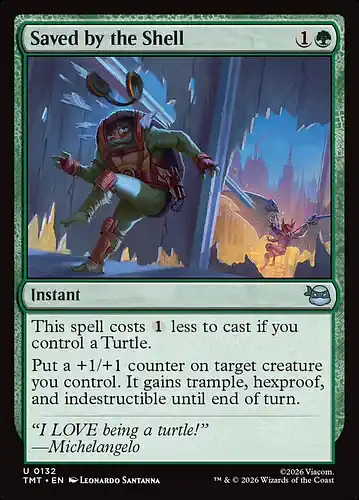 Saved by the Shell - tmt Spoiler