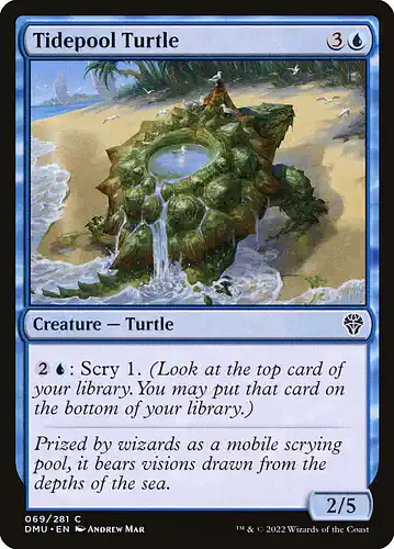 Tidepool Turtle - dmu Spoiler