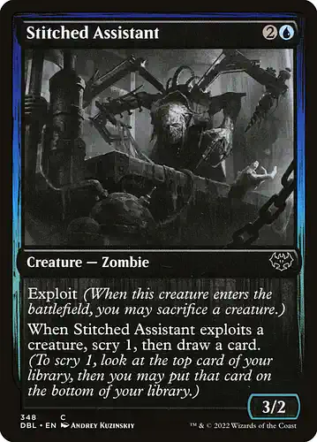 Stitched Assistant - dbl Spoiler